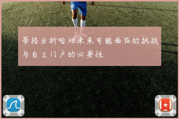 蒂格分析哈珀未来可能面临的挑战与自立门户的必要性
