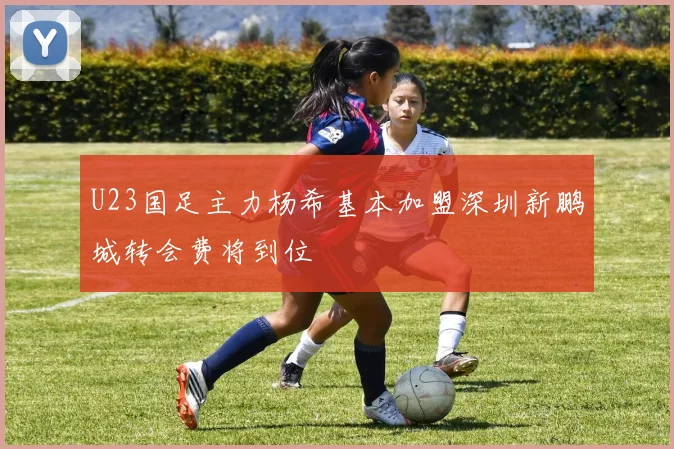 U23国足主力杨希基本加盟深圳新鹏城转会费将到位