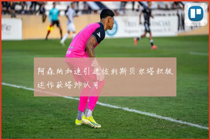 阿森纳加速引进佐利斯贝尔塔积极运作获塔帅认可